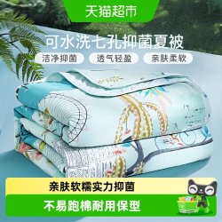 富安娜 梦幻小时光 七孔抗菌夏被