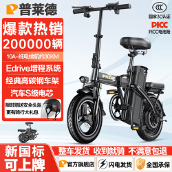 普莱德 G11-4 电动自行车 48V15Ah锂电池 银黑色