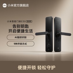 小米 XMZNMST10LK 智能门锁 E30