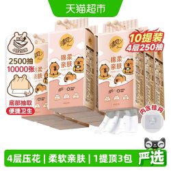 清风 X 卡皮巴拉 亲肤系列 悬挂式抽纸 4层*250抽*10提(170*132mm)