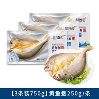 东方甄选 福建黄鱼鲞 250g/条*3