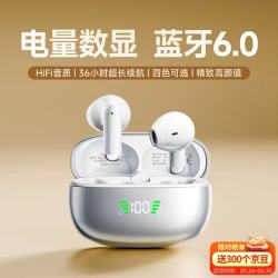 爱国者 TQ15 半入耳式单动圈蓝牙耳机 银沙白 Type-C
