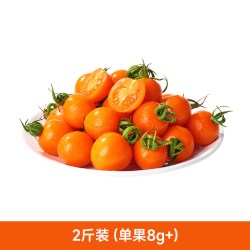 东方甄选 自营阳光小番茄酸甜爆汁清爽果香浓郁圣女果新鲜坏果包赔