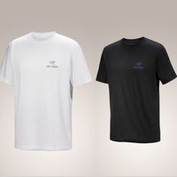 百亿补贴：ARC'TERYX Arcteryx始祖鸟 KRAGG SL COTTON BIRD WORD SHIRT SS 棉T恤X9535