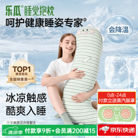 乐瓜 凉感可拆洗 加大恐龙-冰凉款 长条抱枕