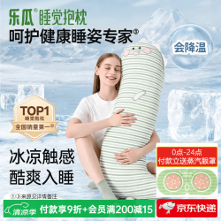 乐瓜 凉感可拆洗 加大恐龙-冰凉款 长条抱枕