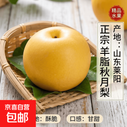 正宗山东莱阳羊脂秋月梨 &amp; 冰糖黄梨  &amp;整箱
