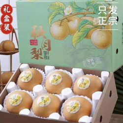 OLOEY 山东 秋月梨 2.5斤装 特大果 单果270-500克+