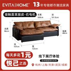 EVITAHOME EVITA Home 赫本 TSF911-DD 电动沙发 2.6m 黑棕（右电机）