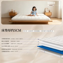 朗宅 Langzhai 榻榻米1 榻榻米护脊床垫 1200mm*2000mm 偏硬睡感