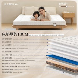 朗宅 轻染蚕大师S3Air5CM超薄弹簧床垫可拆洗家用席梦榻榻米高箱床