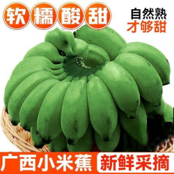 广西钦州 小米蕉 5斤 箱装