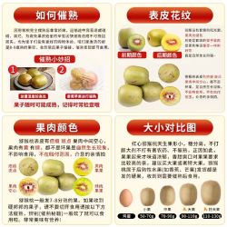无品牌 四川 红心猕猴桃 15个装 50g-70g/个