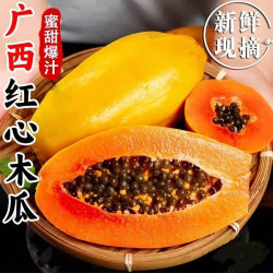 食悦果 广西红心木瓜 4.5斤 中果 散装