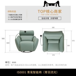 左右家私 左右沙发政府补贴青鸾智能椅智能触摸家用卧室沙发椅硅胶皮休闲椅