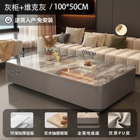 SAMEDREAM CJ0112ZGY 岩板茶几 100*50*36cm 灰柜双抽 维克灰