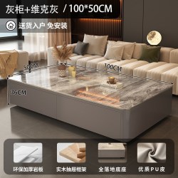 SAMEDREAM CJ0112ZGY 岩板茶几 100*50*36cm 灰柜双抽 维克灰