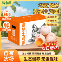 饮食乐 农家林下散养土鸡蛋新鲜富硒鸡蛋彩箱节日礼盒40枚4斤珍珠棉防震 精选富硒土鸡蛋40枚4斤