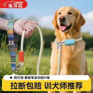 光多拉 宠物P绳狗绳中小型犬狗狗牵引绳外出遛狗给压力训狗专用p链 1.5米
