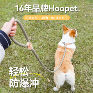 华元宠具 狗狗牵引绳子防爆冲P绳链子胸背带中小型大型犬柯基防挣脱溜遛狗