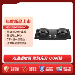 海尔 JZT-Q2BE3 燃气灶 天然气