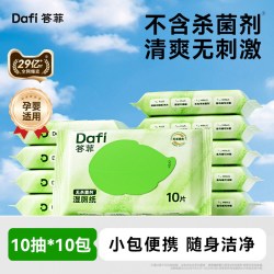 答菲 湿厕纸 10片*10包