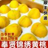 迭果 上海奉贤锦绣黄桃 5两左右*12个