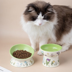 1 绿花边陶瓷猫碗防黑下巴猫罐头食盆狗粮碗猫咪防打翻喂水批发 斜口碗（绿）