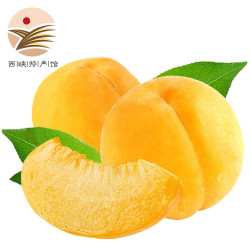静益乐源 新鲜黄桃 净重4.5-5斤装