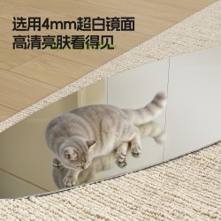 SAMEDREAM 中古全身家用落地镜