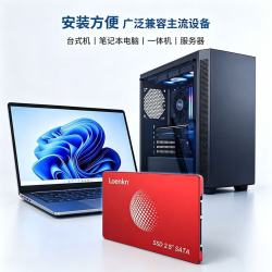 固态硬盘 SATA3.0接口PC电脑游戏办公存储固体硬盘 512GB 预装WIN10-64位系统