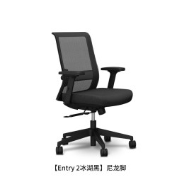 国誉 Entry2 人体工学电脑椅 冰湖黑 尼龙脚
