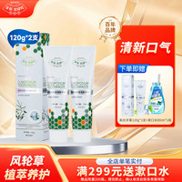 合和泰 蜂胶风轮草清新牙膏 本草牙膏 平衡口腔菌群 清新口气牙膏 120g*2支