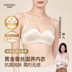 钱皇 法式内衣无钢圈文胸罩吊带大胸显小真丝舒适高端礼物 香槟色L