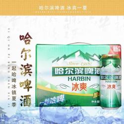 哈尔滨啤酒 冰爽啤酒500ml*12罐 一起哈啤罐装整箱装踏青出游