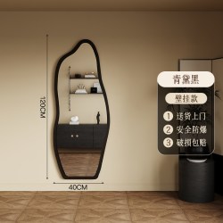 SAMEDREAM 中古全身镜家用落地镜网红异形镜壁挂高级感穿衣镜卧室试衣镜子
