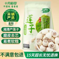 十月稻田 莲子 250g