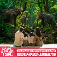 1家1团纯玩!全程住五钻万达颐华西双版纳5天云南旅游