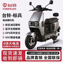 台铃 标兵3 电动摩托车 72V24Ah