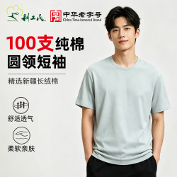 利工民 纯棉双面100支柔软亲肤高端男士T恤圆领男短袖纯色宽松上衣鹿牌 浅灰色 2XL (105)
