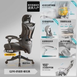 朗域轩品 LY-W7 人体工学电脑椅 联动扶手 舒适款 流黑