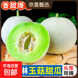 京喜福 玉菇甜瓜冰淇淋现摘新鲜水果整箱当季水果香瓜冰淇淋（多仓发货）  5斤(净重4.7斤)