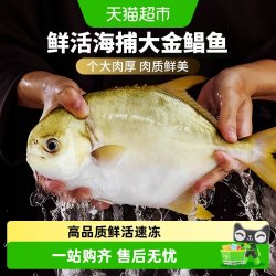 顺丰上门金鲳鱼新鲜冷冻鲜活特大鲳鱼日照金昌鱼海鱼白鲳银鲳鱼