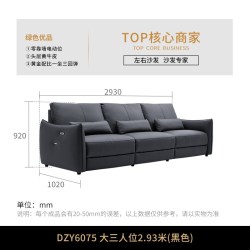 左右家私 DZY6075 真皮沙发 2.93米大三人位 黑色