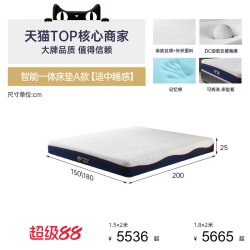 帕沙曼 智能床垫电动床全自动升降床带按摩多功能真皮床主卧双人床