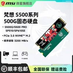 微星 梵想S500Q/S500 PRO/SP510/SP610SE M.2接口固态硬盘微星512G
