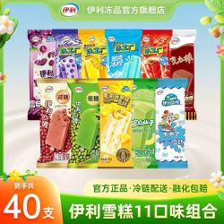伊利 黄油菠萝大布丁冰工厂蜜瓜仙子绿豆红豆棒冰淇淋 40支