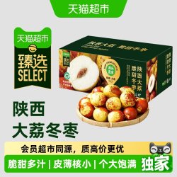 末浅 陕西大荔冬枣 1.8斤/2.7斤/4.5斤 顺丰直发