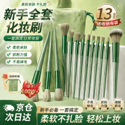 DAGO 化妆刷套装全套新手13支粉底腮红眼影修容遮瑕散粉眉刷初学者