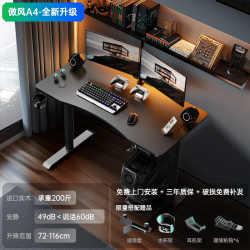 AutoFull AFA403 实木电竞桌 120x60x116cm 曜黑